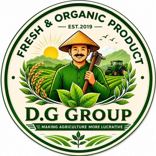 D.G Group
